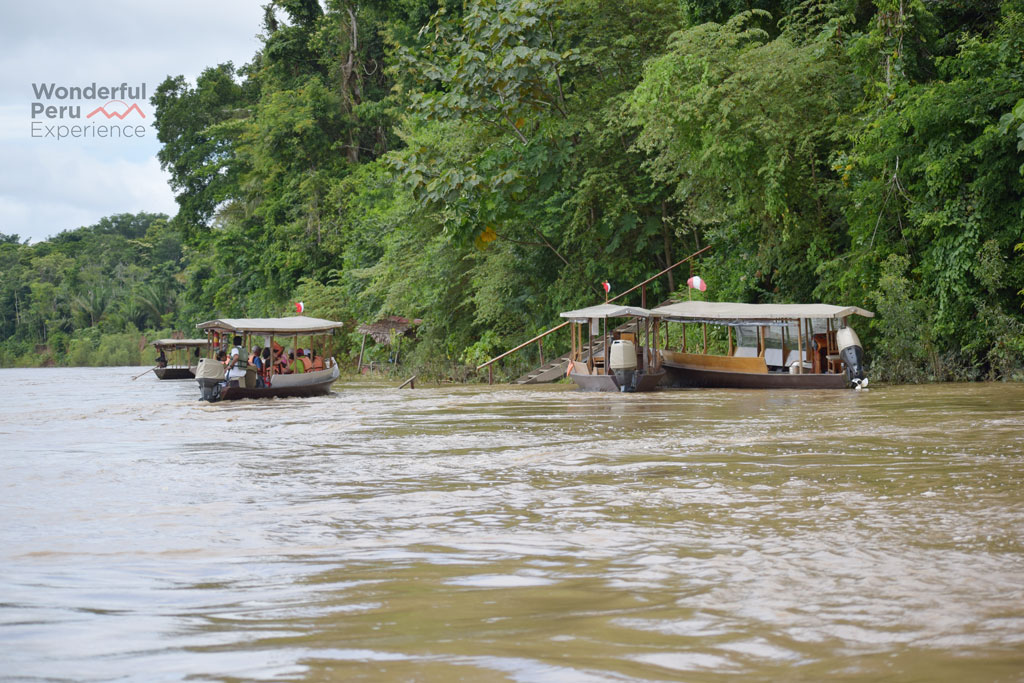 DAY 6 CUSCO PUERTO MALDONADO